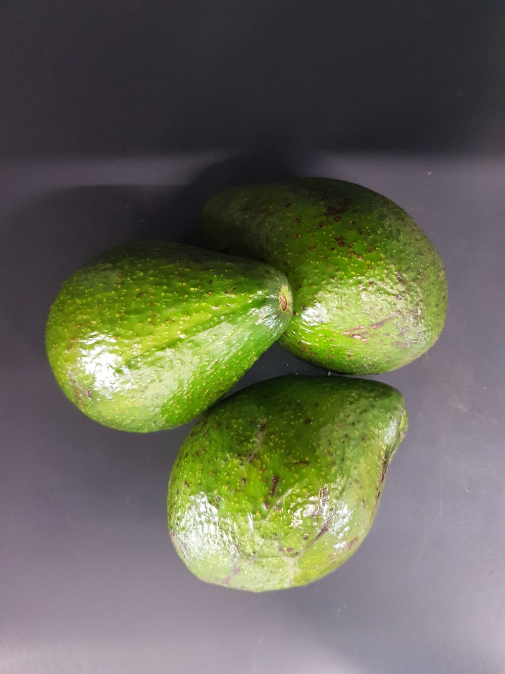Frische Avocados