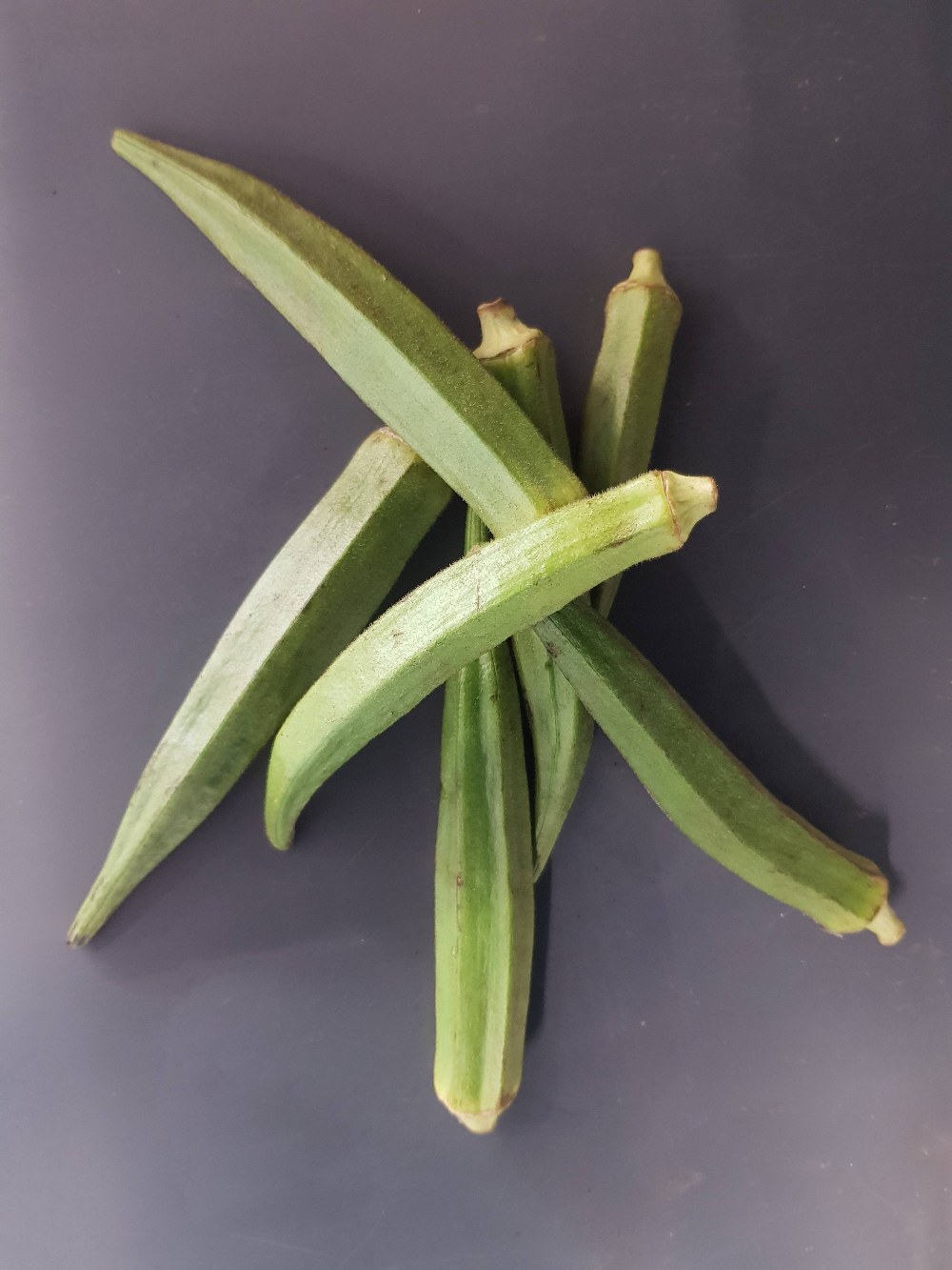 Frische Ganze Okraschoten