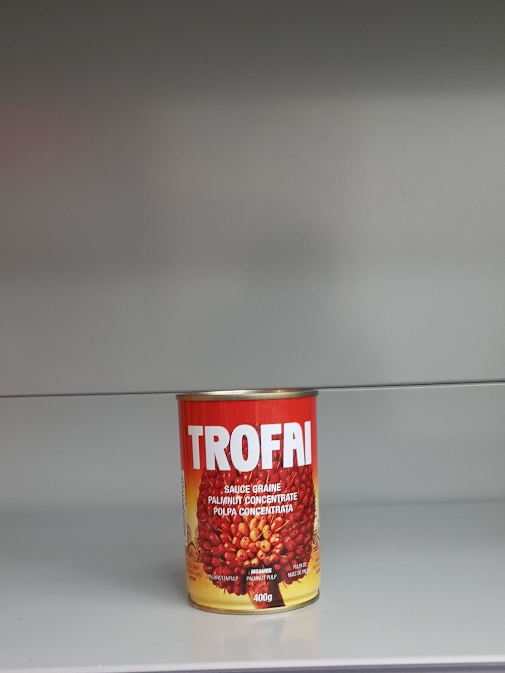 Trofai Palmnuss Samen Sauce Konzentrat 400g