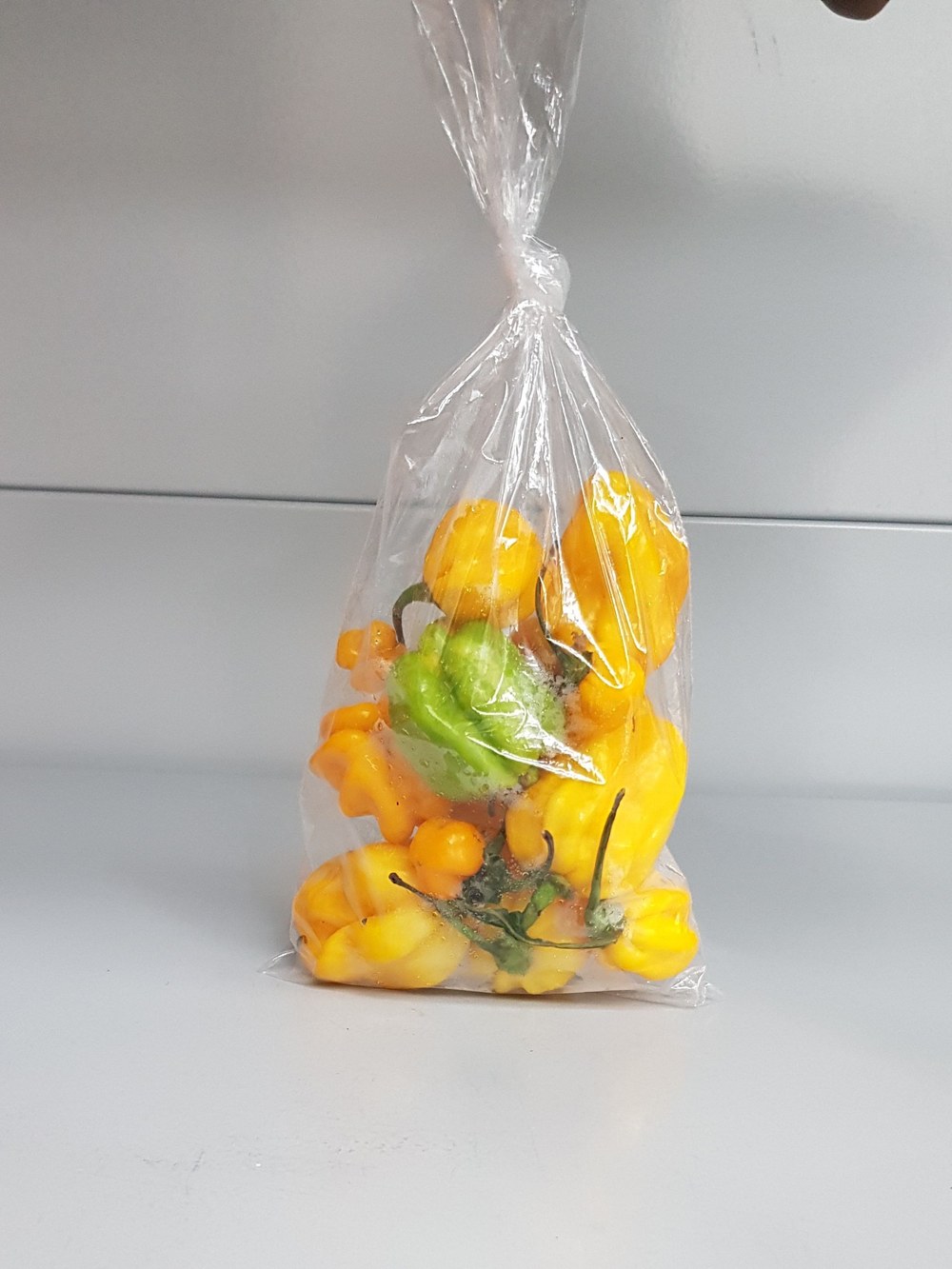 Verschiedene frische Chilischoten