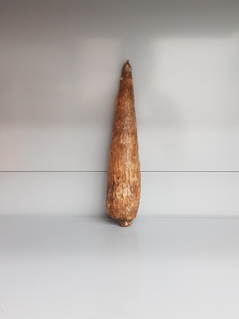 Frischer ganzer Maniok 1kg