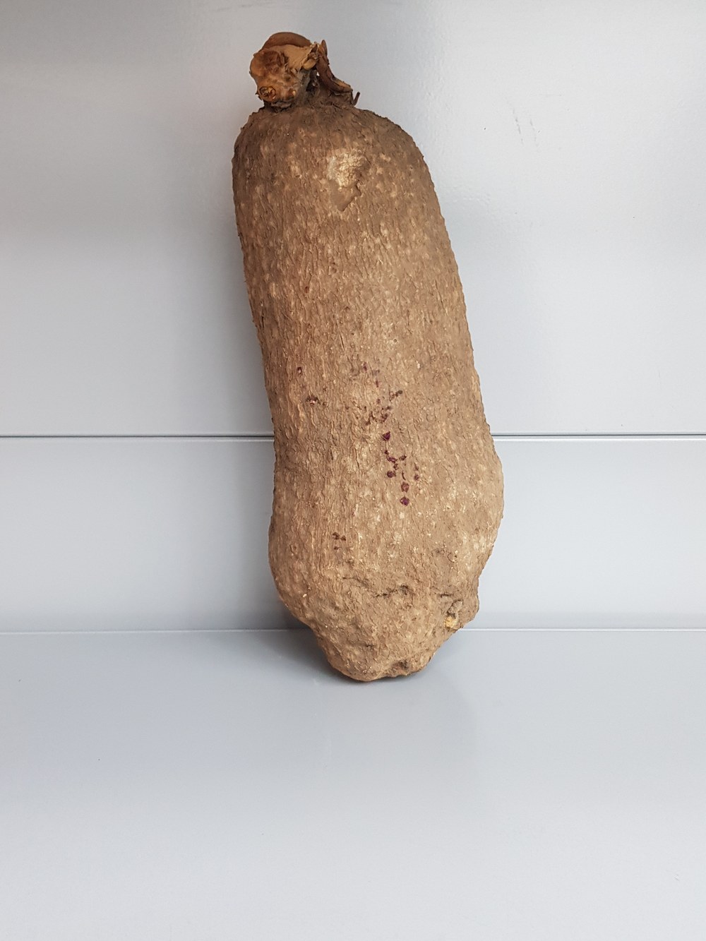 Frischer ganzer Yams 1kg