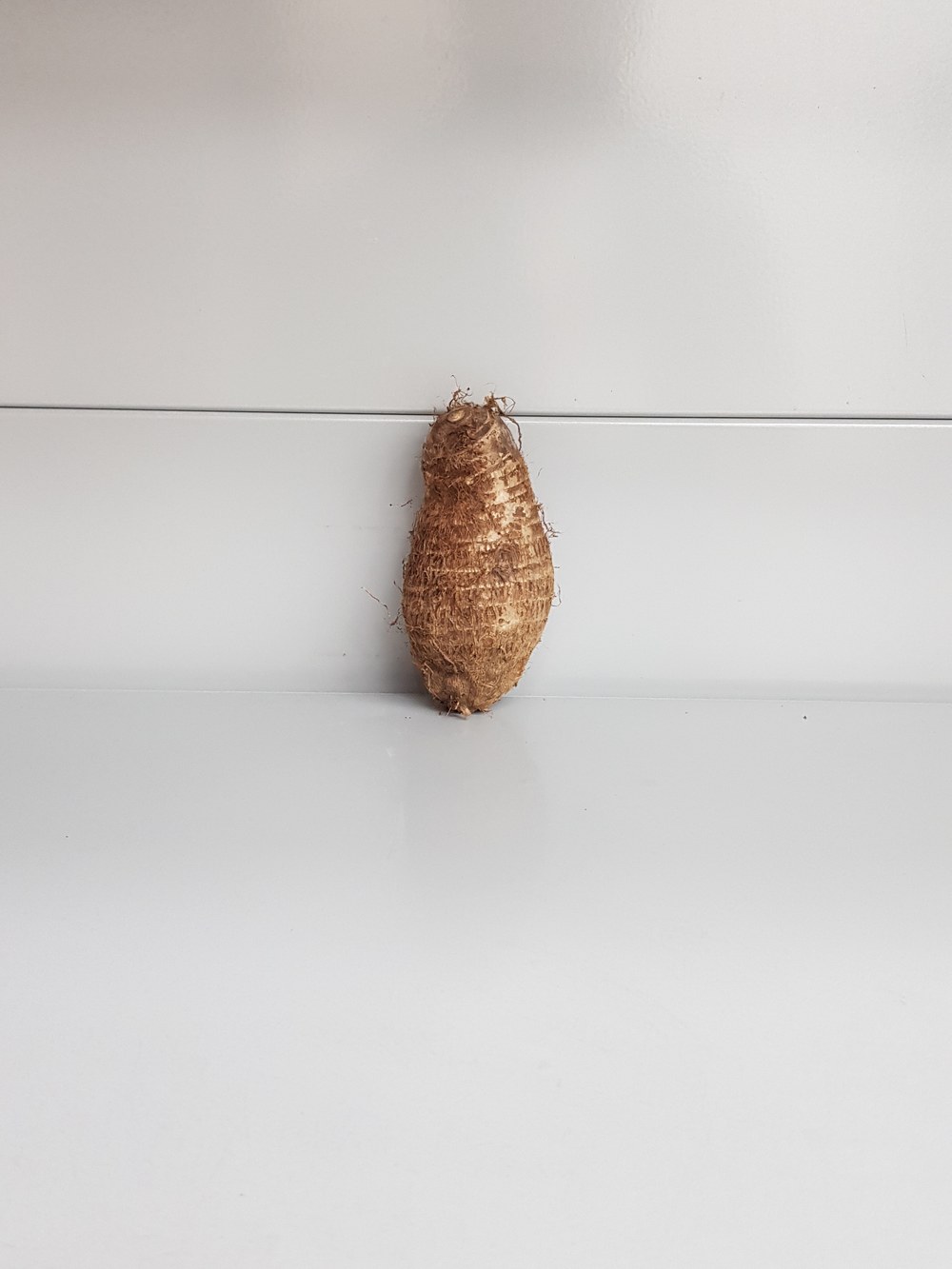 Frische Ganze Taro-Wurzel