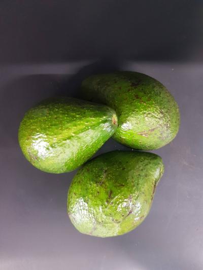 Frische Avocados