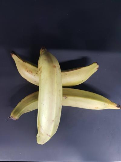 Frische Bananen