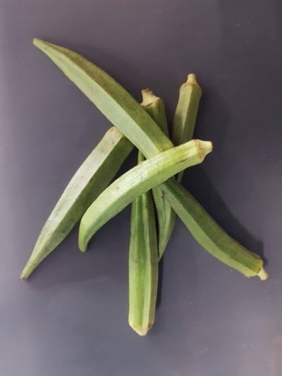Frische Ganze Okraschoten