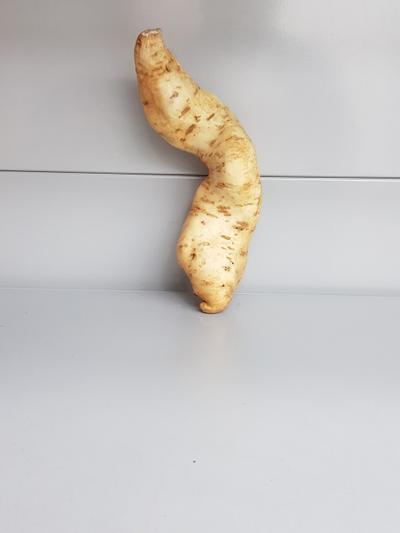Frische Süßkartoffel