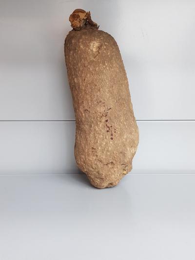 Frischer ganzer Yams 1kg